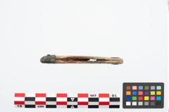 Foto von Eisenklappmesser (NHMW-PRAE-025155)